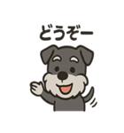 ごきげんシュナ（個別スタンプ：13）