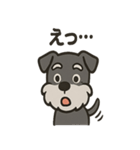 ごきげんシュナ（個別スタンプ：14）