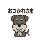 ごきげんシュナ（個別スタンプ：15）