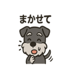 ごきげんシュナ（個別スタンプ：17）