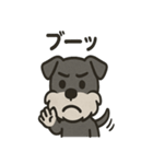 ごきげんシュナ（個別スタンプ：19）