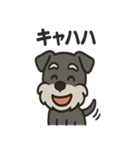 ごきげんシュナ（個別スタンプ：20）