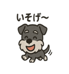 ごきげんシュナ（個別スタンプ：22）