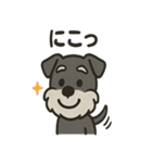 ごきげんシュナ（個別スタンプ：23）