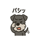 ごきげんシュナ（個別スタンプ：25）