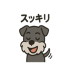 ごきげんシュナ（個別スタンプ：26）