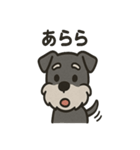 ごきげんシュナ（個別スタンプ：31）