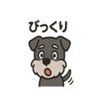 ごきげんシュナ（個別スタンプ：36）