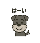 ごきげんシュナ（個別スタンプ：38）