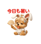 うさぎ耳の3Dヨークシャテリア（夏）（個別スタンプ：2）