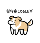 いつでも使えるボーダーコリー（薄茶白）（個別スタンプ：6）