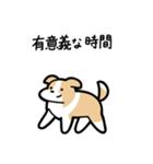 いつでも使えるボーダーコリー（薄茶白）（個別スタンプ：9）