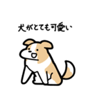 いつでも使えるボーダーコリー（薄茶白）（個別スタンプ：10）