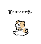 いつでも使えるボーダーコリー（薄茶白）（個別スタンプ：19）