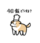 いつでも使えるボーダーコリー（薄茶白）（個別スタンプ：20）