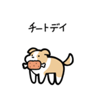いつでも使えるボーダーコリー（薄茶白）（個別スタンプ：22）
