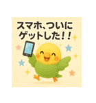 スマホはじめました★インコ★40（個別スタンプ：1）