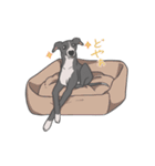 少し動くイタグレくん（個別スタンプ：9）