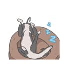 少し動くイタグレくん（個別スタンプ：16）