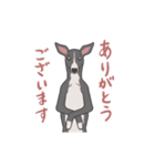 少し動くイタグレくん（個別スタンプ：22）
