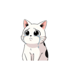 【泣く猫 3】（個別スタンプ：1）