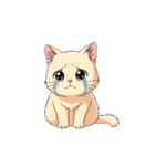 【泣く猫 3】（個別スタンプ：4）