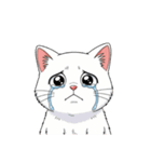 【泣く猫 3】（個別スタンプ：6）