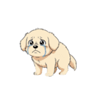 【泣く犬 2】（個別スタンプ：4）