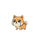 【泣く犬 2】（個別スタンプ：5）