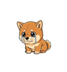 【泣く犬 2】（個別スタンプ：7）