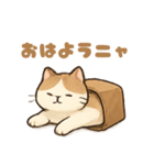 袋に入ったごろ寝猫（個別スタンプ：1）
