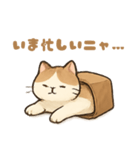 袋に入ったごろ寝猫（個別スタンプ：10）