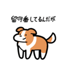 いつでも使えるボーダーコリー（赤白）（個別スタンプ：6）
