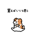 いつでも使えるボーダーコリー（赤白）（個別スタンプ：19）