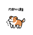 いつでも使えるボーダーコリー（赤白）（個別スタンプ：27）