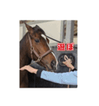 トーマステソーロとアンヘリート（個別スタンプ：2）