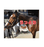 トーマステソーロとアンヘリート（個別スタンプ：3）