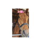 トーマステソーロとアンヘリート（個別スタンプ：9）