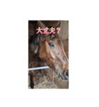 トーマステソーロとアンヘリート（個別スタンプ：10）