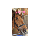 トーマステソーロとアンヘリート（個別スタンプ：11）