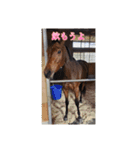 トーマステソーロとアンヘリート（個別スタンプ：12）