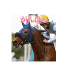 トーマステソーロとアンヘリート（個別スタンプ：13）