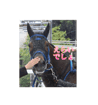 トーマステソーロとアンヘリート（個別スタンプ：16）