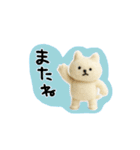 しょぼいフェルト風スタンプ（個別スタンプ：22）
