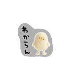 しょぼいフェルト風スタンプ（個別スタンプ：26）