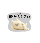 しょぼいフェルト風スタンプ（個別スタンプ：30）