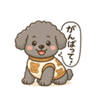 トイプーのアラン（個別スタンプ：6）