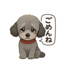 トイプーのアラン（個別スタンプ：11）