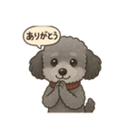 トイプーのアラン（個別スタンプ：22）