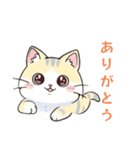 猫と私とときどきLINE（個別スタンプ：3）